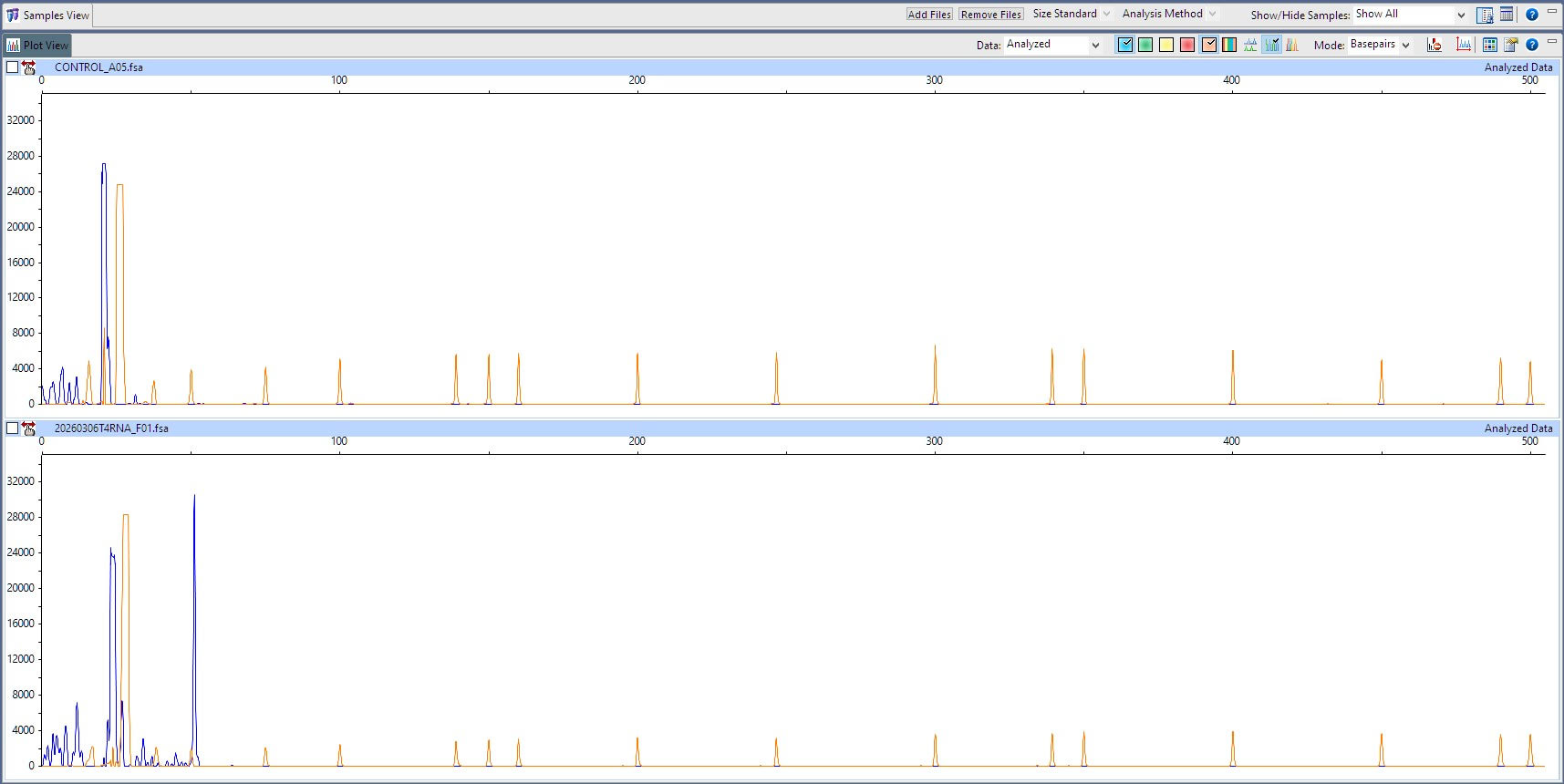 T4 RNA Ligase 1 (ssRNA Ligase)